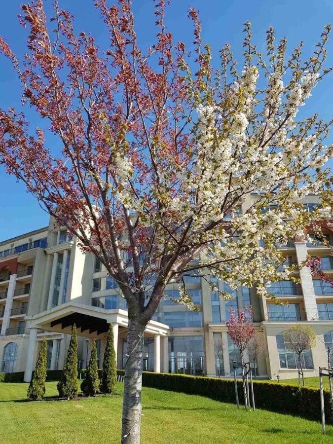 Lighthouse 3 Bedrooms Villa F36 발치크 외부 사진