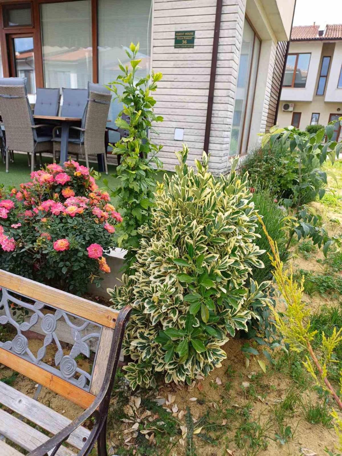 Lighthouse 3 Bedrooms Villa F36 발치크 외부 사진